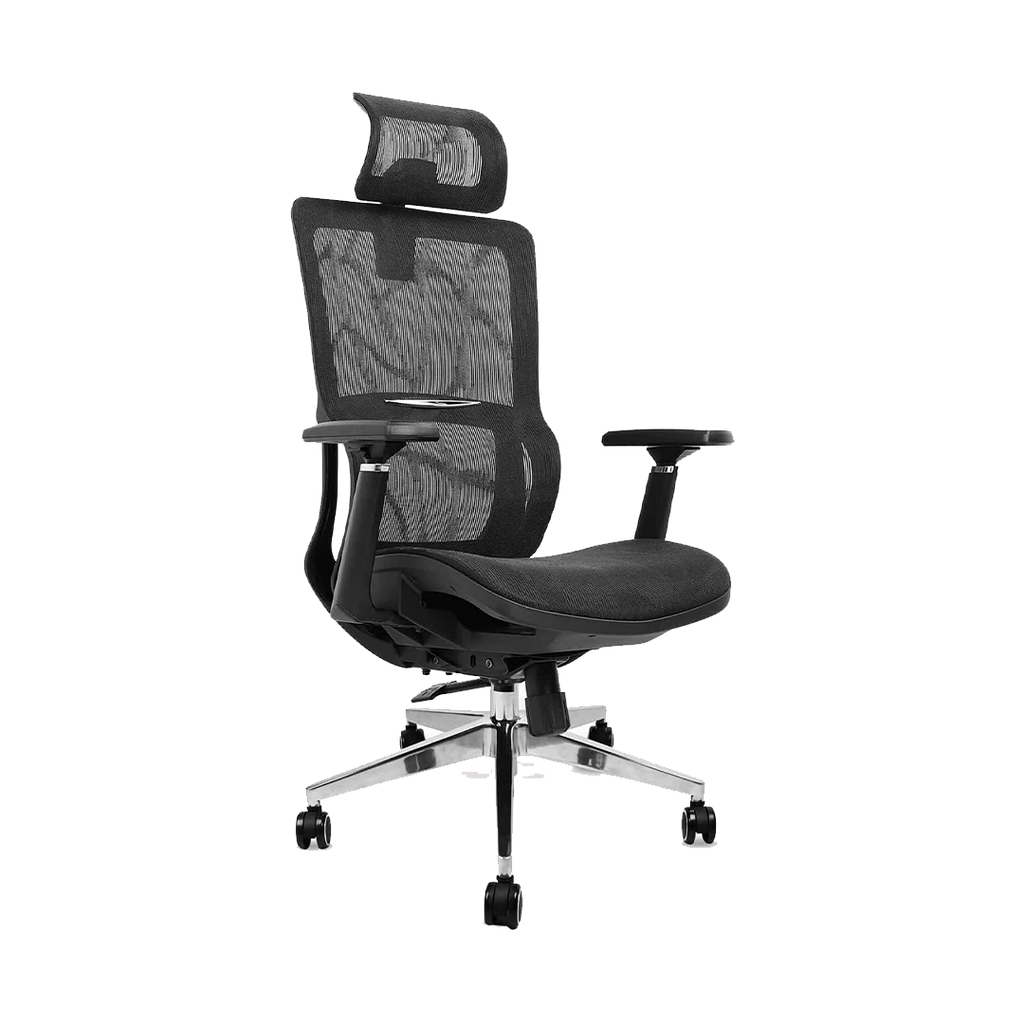 CHAISE DE BUREAU ERGONOMIQUE 2001A