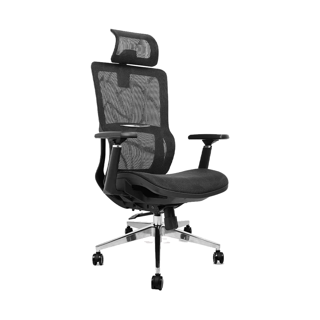 CHAISE DE BUREAU ERGONOMIQUE 2001A