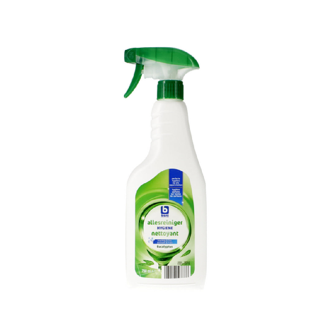 BONI NETTOIE-TOUT SPRAY EUCALYPTUS 750ML