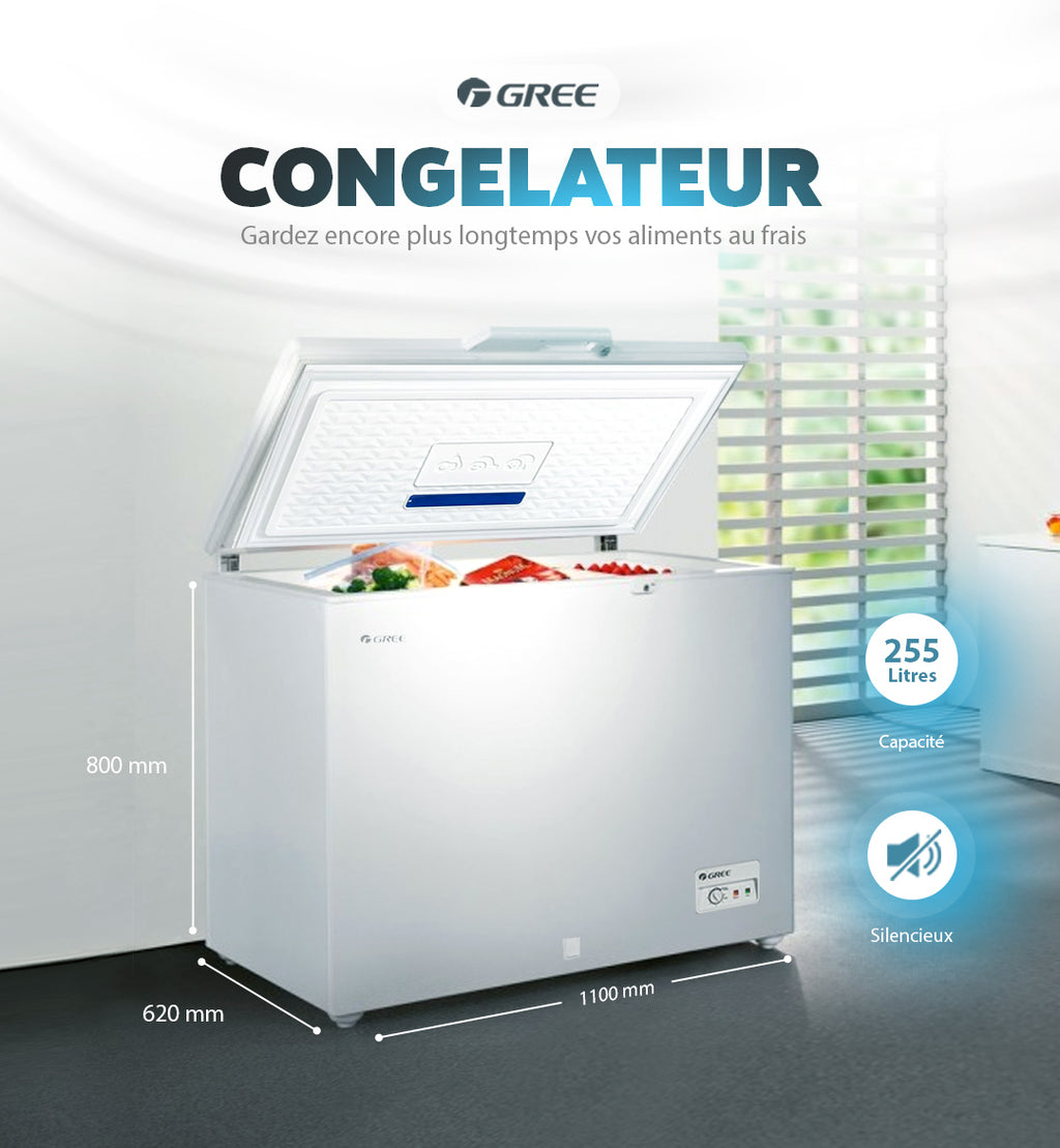 CONGELATEUR WHITE 255 Litres
