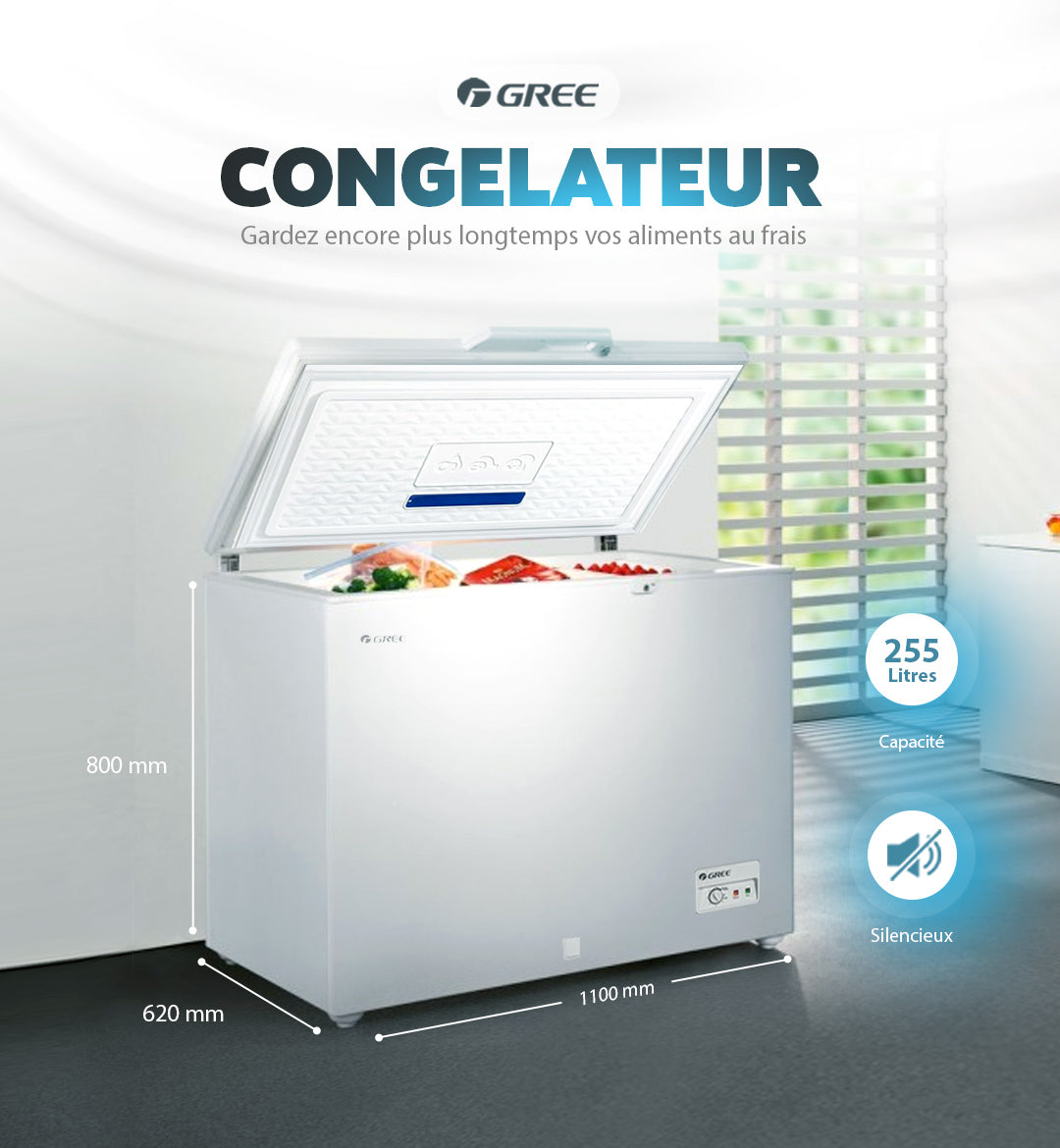 CONGELATEUR WHITE 255 Litres