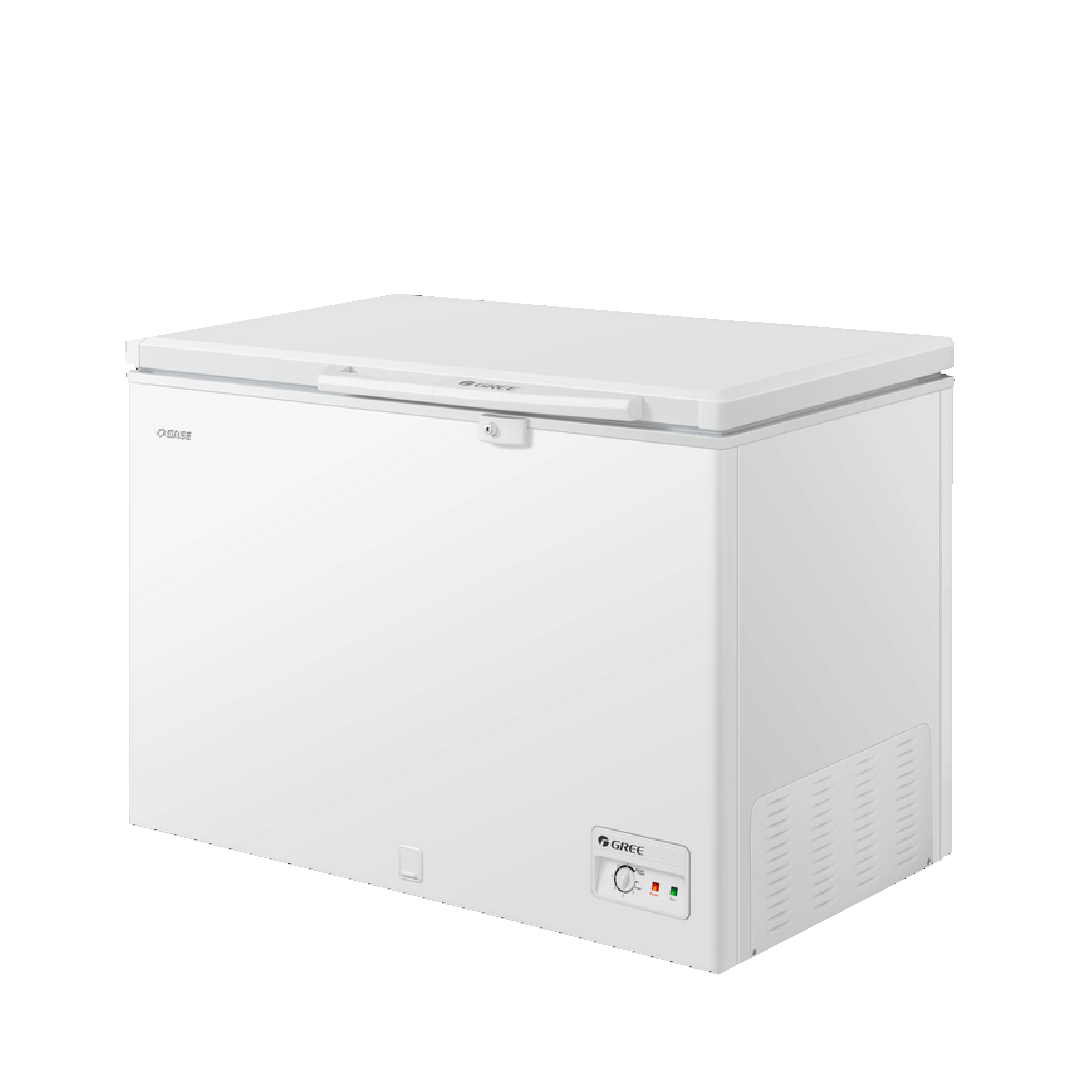 CONGELATEUR WHITE 255 Litres