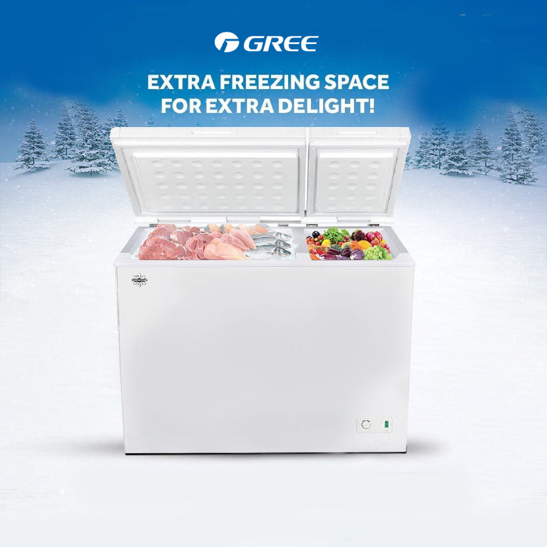 CONGELATEUR CHEST FREEZE 191 Litres