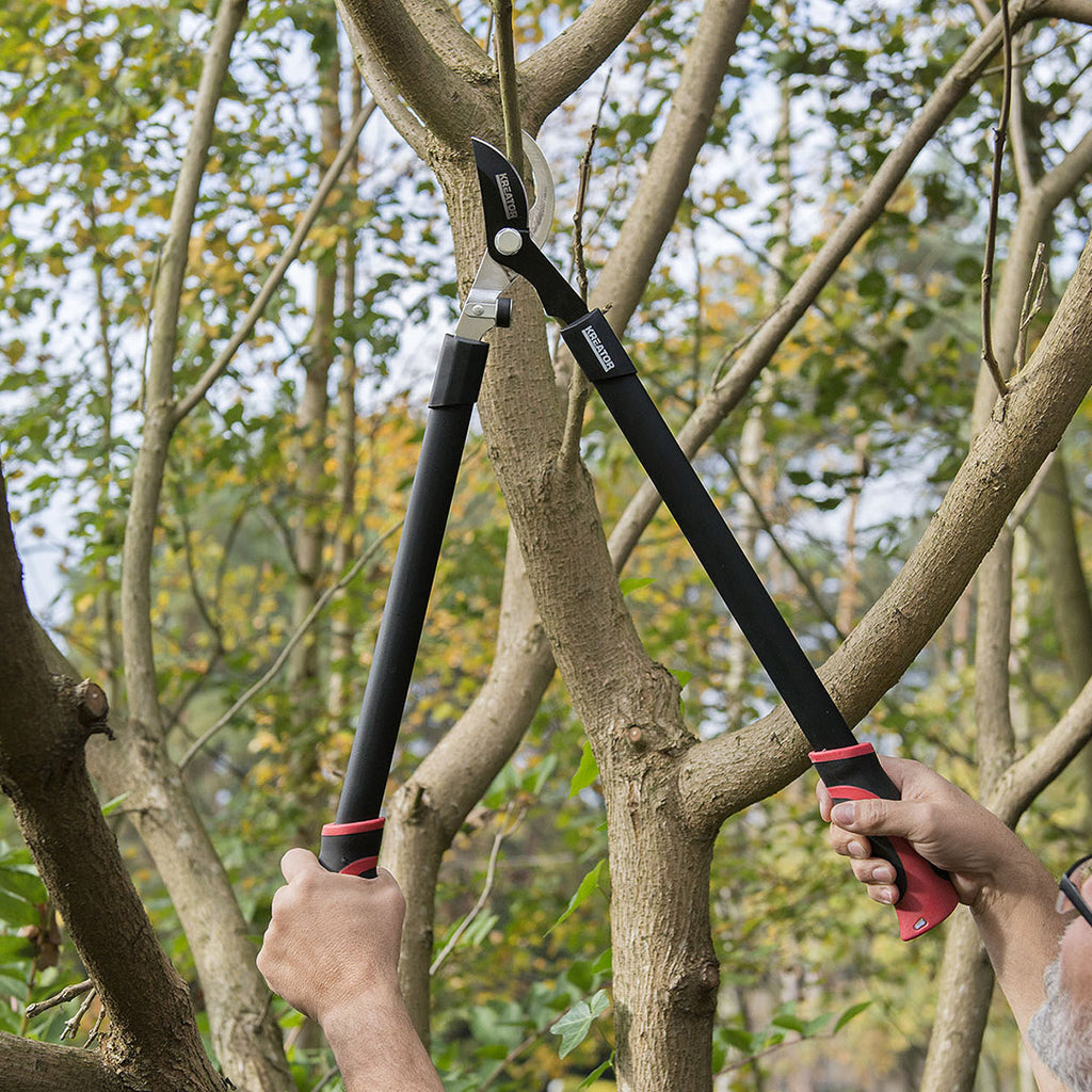 COUPE-BRANCHE ECONOMY