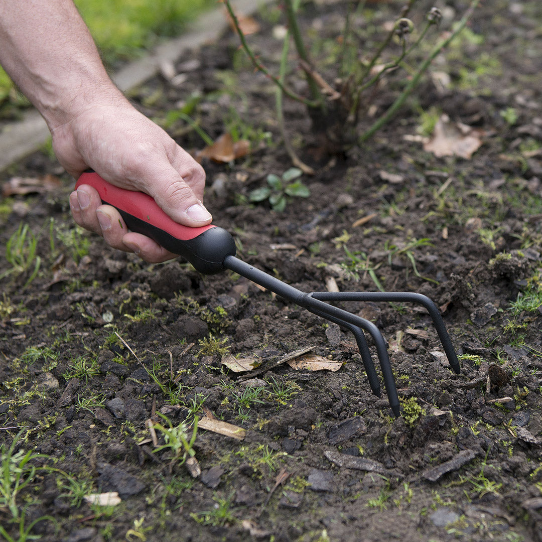 CULTIVATEUR 3 DENTS