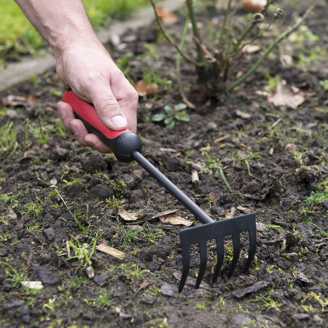 HOUE