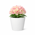 POT DE FLEUR BLANC RB-CRX01-30