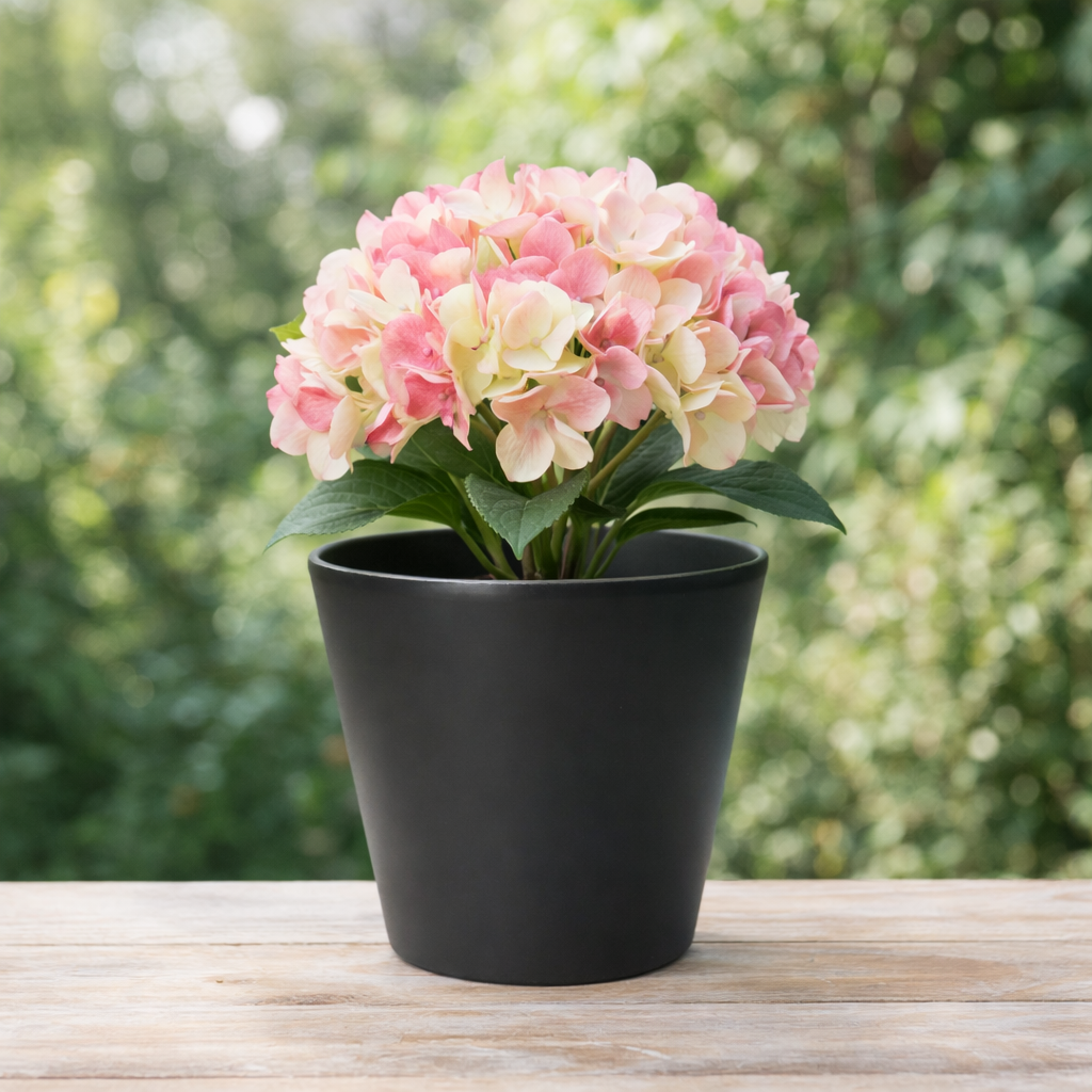 POT DE FLEUR NOIR RB-CRX01X25