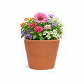POT DE FLEUR ORANGE RB-CRX01-17