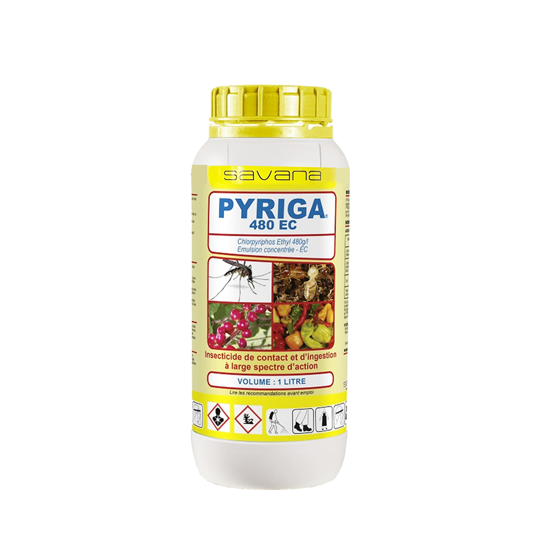 PYRIGA 480 EC 1L
