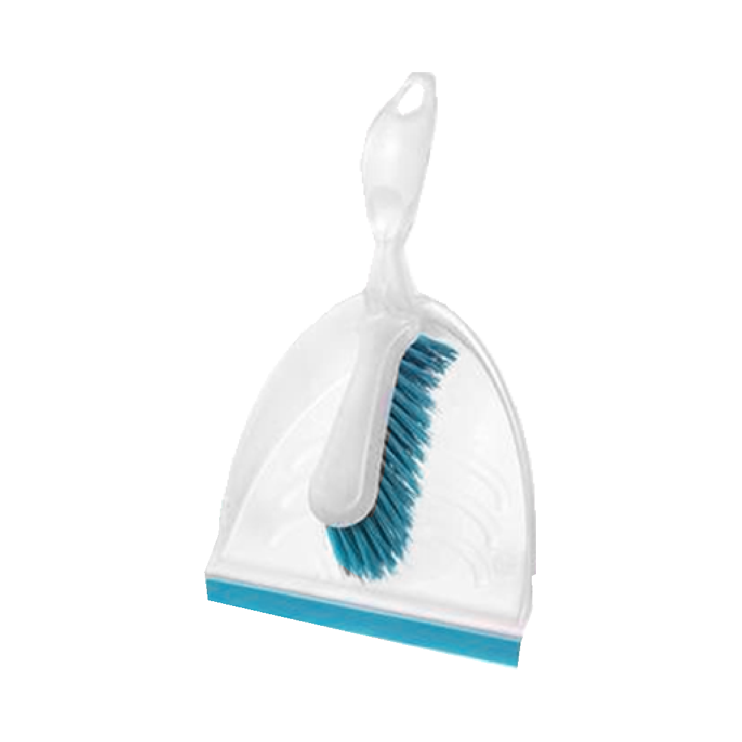 SET RAMASSETTE AVEC EPOUSSETTE 23CM