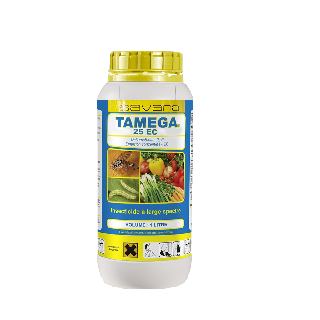 TAMEGA 25 EC
